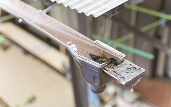 詰まっている雨樋